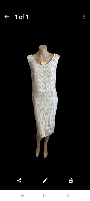Frank Lyman Ivory / Silver Dress